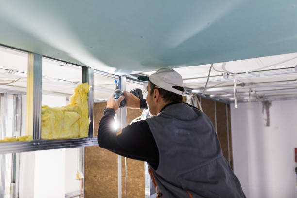 Best Eco-Friendly Insulation in Altamont, NY
